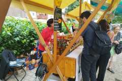 viber_slika_2023-09-15_13-18-25-842-–-kopija