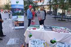viber_slika_2023-09-12_13-18-40-918