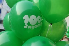 100-zagorsko-14