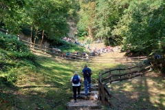 IMG-20230903-WA0013