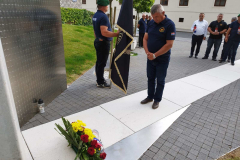 33-godine-gromovi12