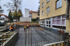 bidruzica-3
