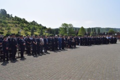 050.jpg_photogallery_normal