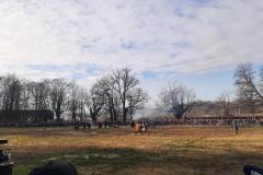 bitka-kod-stubice41