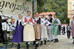 pregrada-branje-grojzdja-2022-14