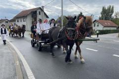 pregrada-branje-grojzdja-2022-7