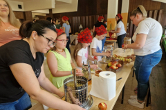 durmanec_dan-drzavnosti-9