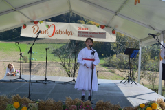 desinic-dani-jabuka-13