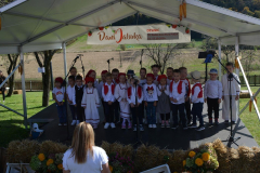 desinic-dani-jabuka-14