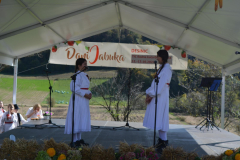 desinic-dani-jabuka-15
