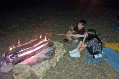 IMG-20240827-WA0009