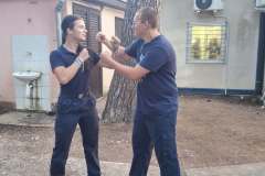 dvd-durmanec-u-fazani15