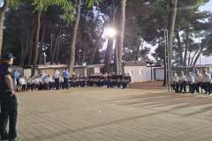 dvd-durmanec-u-fazani2