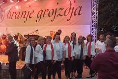viber_slika_2023-09-22_19-16-32-605