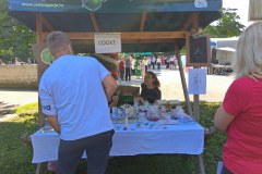 festivalcic-kr-toplice5