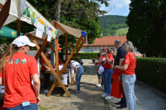 DSC_0209-Copy