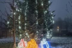 IMG_20231204_065445