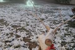 IMG_20231204_065649