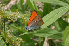 P6191382