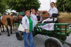 izlozba-stoke-i-bambino-kup12