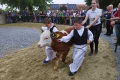 izlozba-stoke-i-bambino-kup20