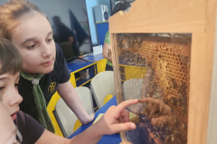 viber_slika_2024-05-26_11-36-40-250