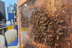 viber_slika_2024-05-26_11-36-40-282