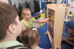 viber_slika_2024-05-26_11-36-40-541