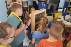 viber_slika_2024-05-26_11-36-40-595