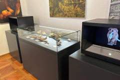 gostujuca-izlozba-muzeja-krapinskih-neandertalaca-1