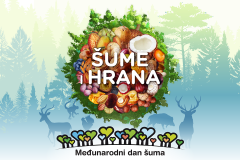poster-na-hrvatskom-dan-suma