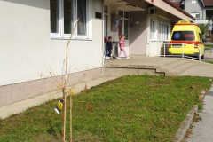 konjscina-sadnja-stabala-4