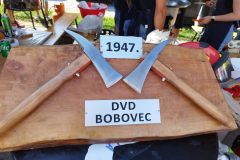 Kotlovinijada-Dubravica11