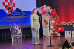 IMG-233ddf1440b842c6413d88f700969394-V