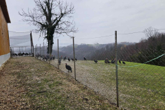 IMG-197a27f2d8b8a54976c3182dfaf04404-V