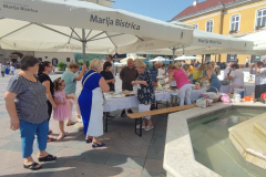 Prezentacija-pripreme-strukli-ljeto-u-mariji-bistrici-2