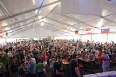 loborfest-2024-16