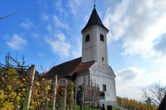 martinje-bojacno-kzz-2022-1