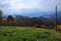 martinje-bojacno-kzz-2022-9