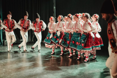 cofa-festival-zabok-5