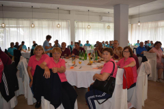 DSC_0708-Copy