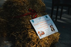 508168211_1036667228596728_3075548094892381591_n