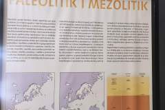 muzej-neandertalaca-izlozba13