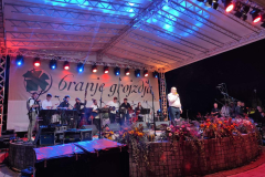 IMG-01bc044799807fddba50a67c954670b7-V