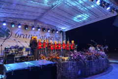 IMG-833b13b6dc7fc38b466bcd179d6800e7-V