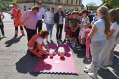 viber_slika_2024-04-30_10-02-12-328