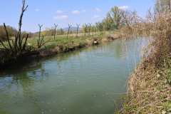 KZZ_5848-Copy
