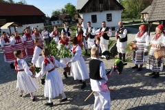 kumrovec-ophodi-jure-zelenog6