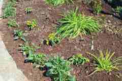 viber_slika_2025-05-15_10-56-17-936