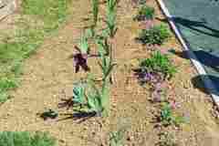 viber_slika_2025-05-15_10-56-19-128